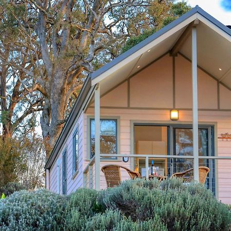 Grace Cottages Uralla Buitenkant foto