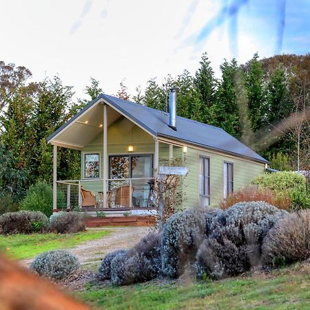 Grace Cottages Uralla Buitenkant foto
