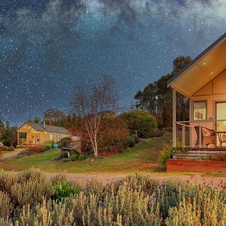 Grace Cottages Uralla Buitenkant foto