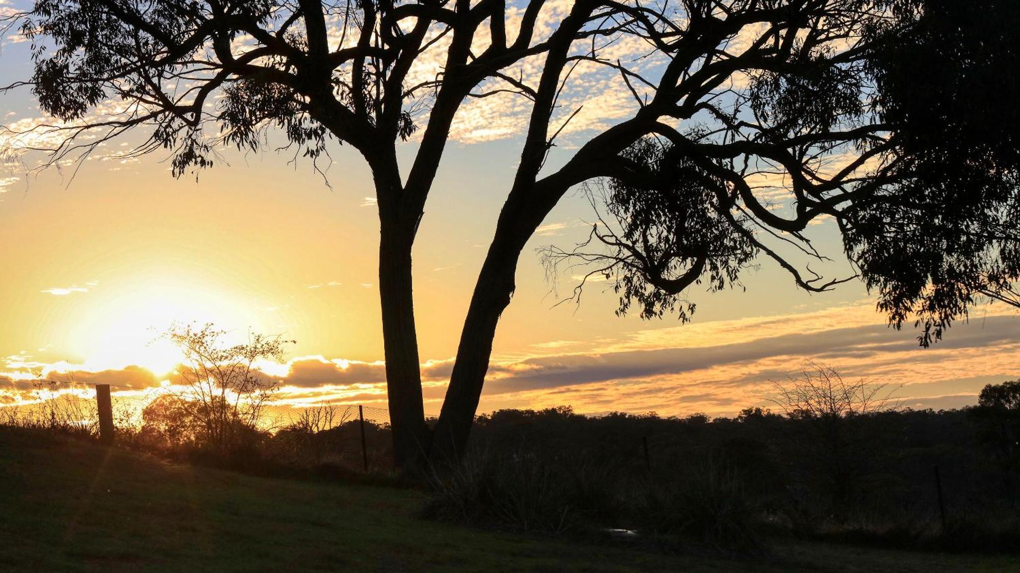 Grace Cottages Uralla Buitenkant foto