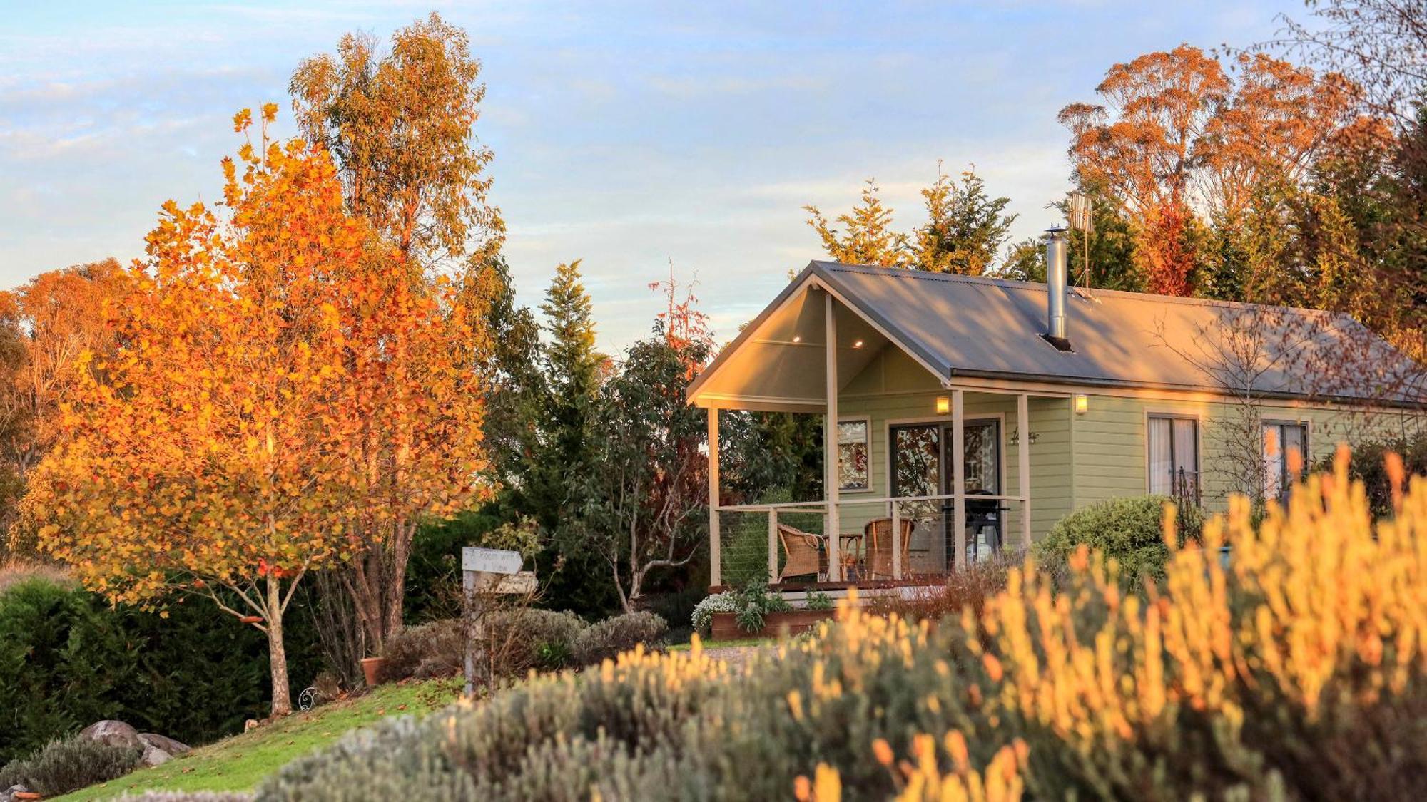 Grace Cottages Uralla Buitenkant foto