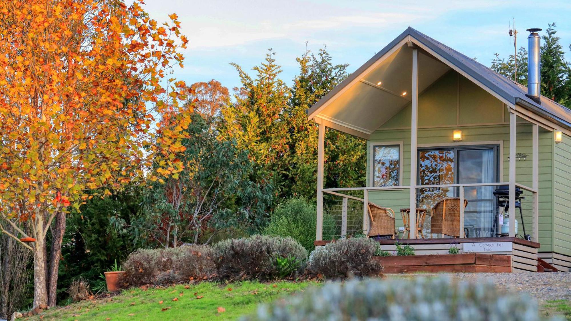 Grace Cottages Uralla Buitenkant foto
