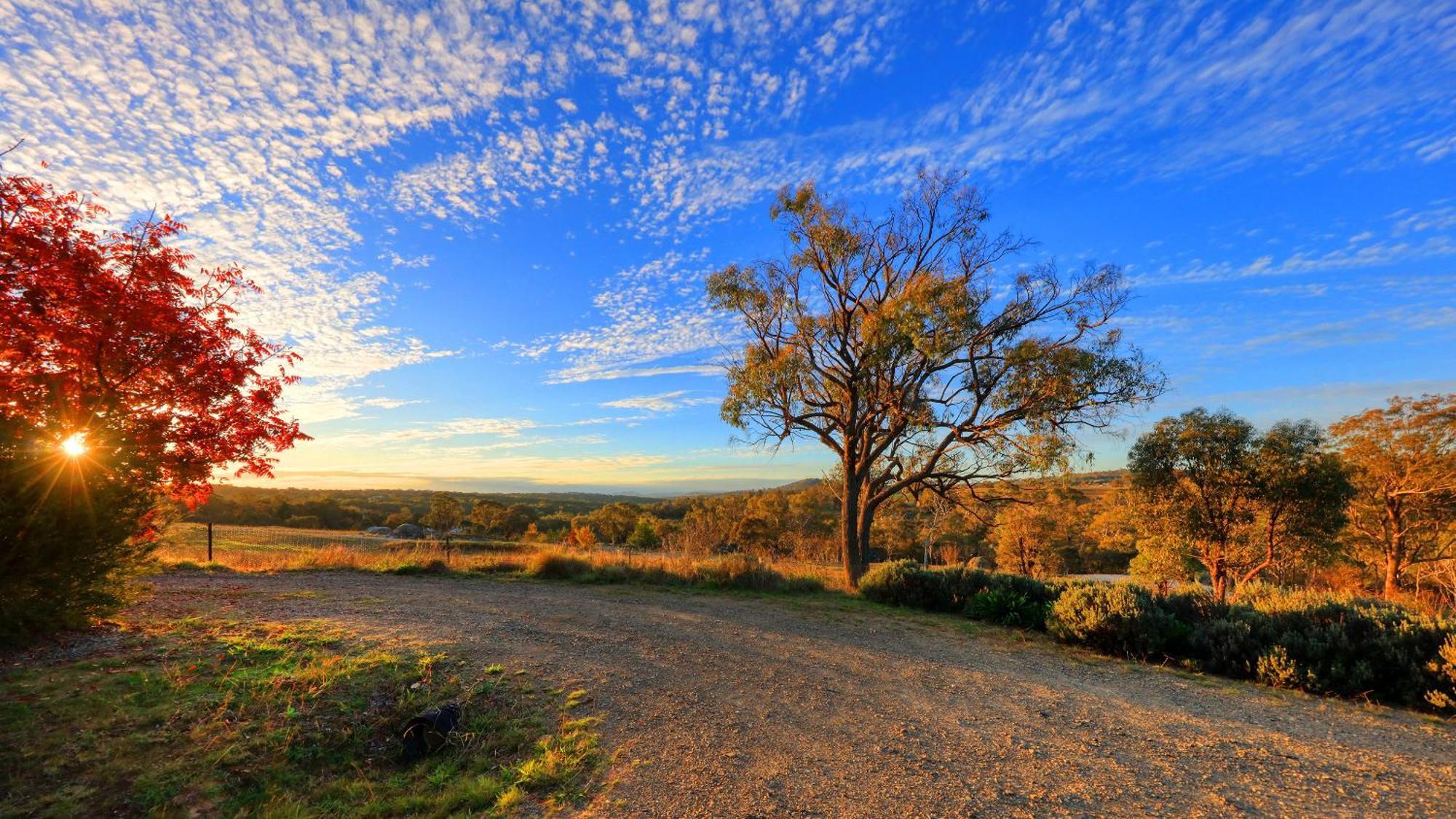 Grace Cottages Uralla Buitenkant foto