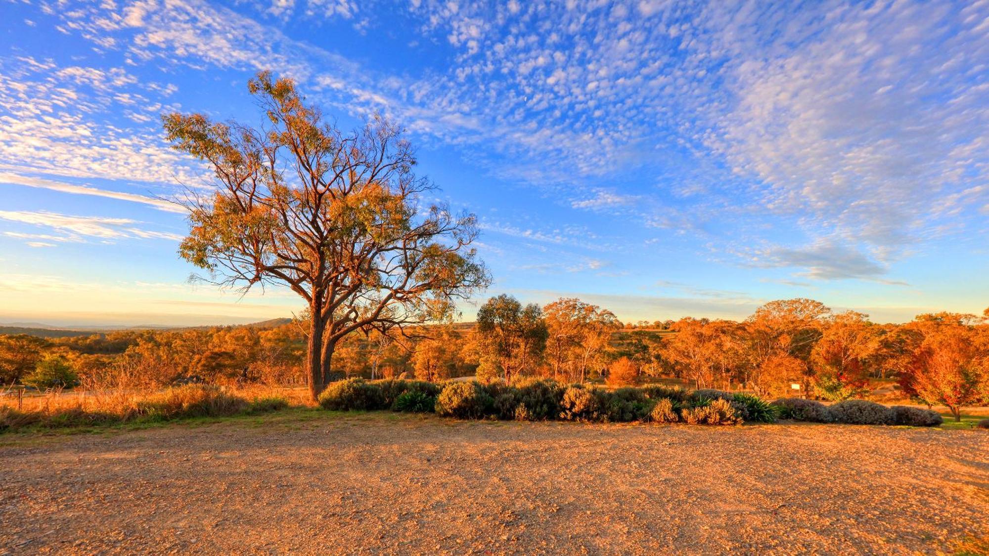 Grace Cottages Uralla Buitenkant foto